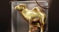 Hollow Figure Camel 750